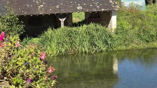 La Closerie du Vieux Pressoir_15