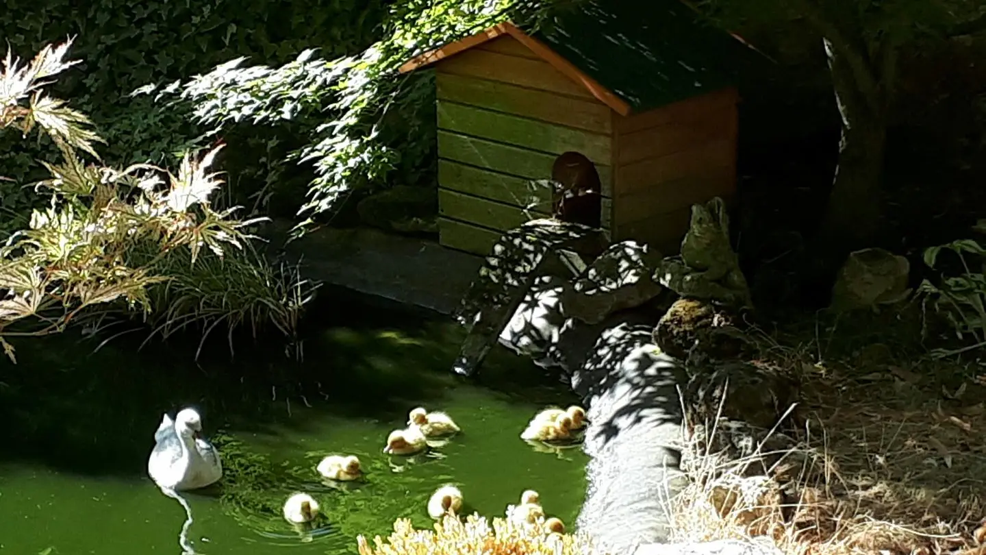 La Closerie du Vieux Pressoir_14