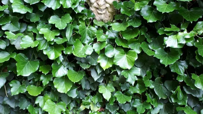 La Closerie du Vieux Pressoir_11