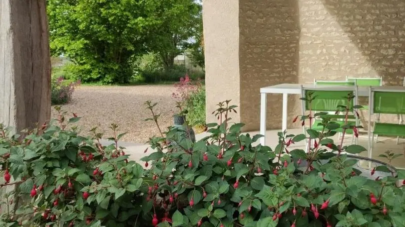 Le Gîte de l'Ane_2