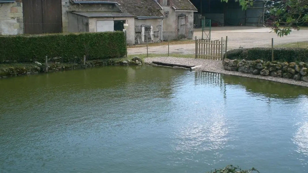 Le Tillou_2