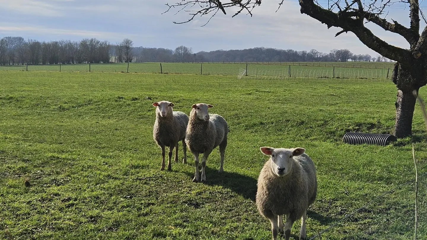 Gîte de Touchelion_15