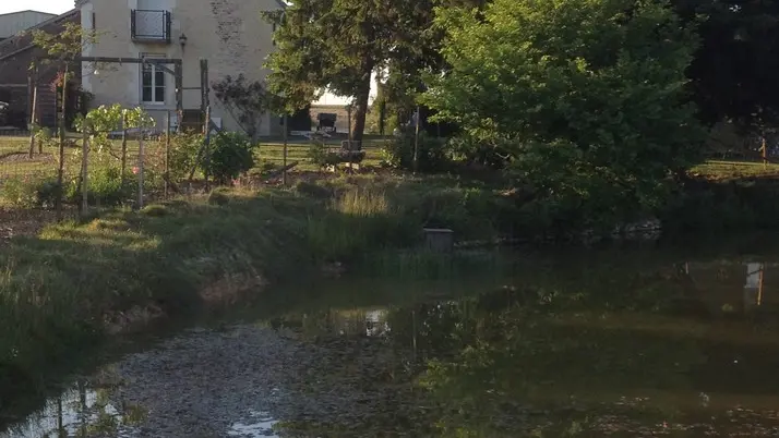 Gîte Le Tilleul_3