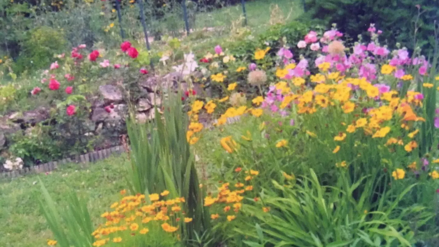 Gîte du Relais Valami_10