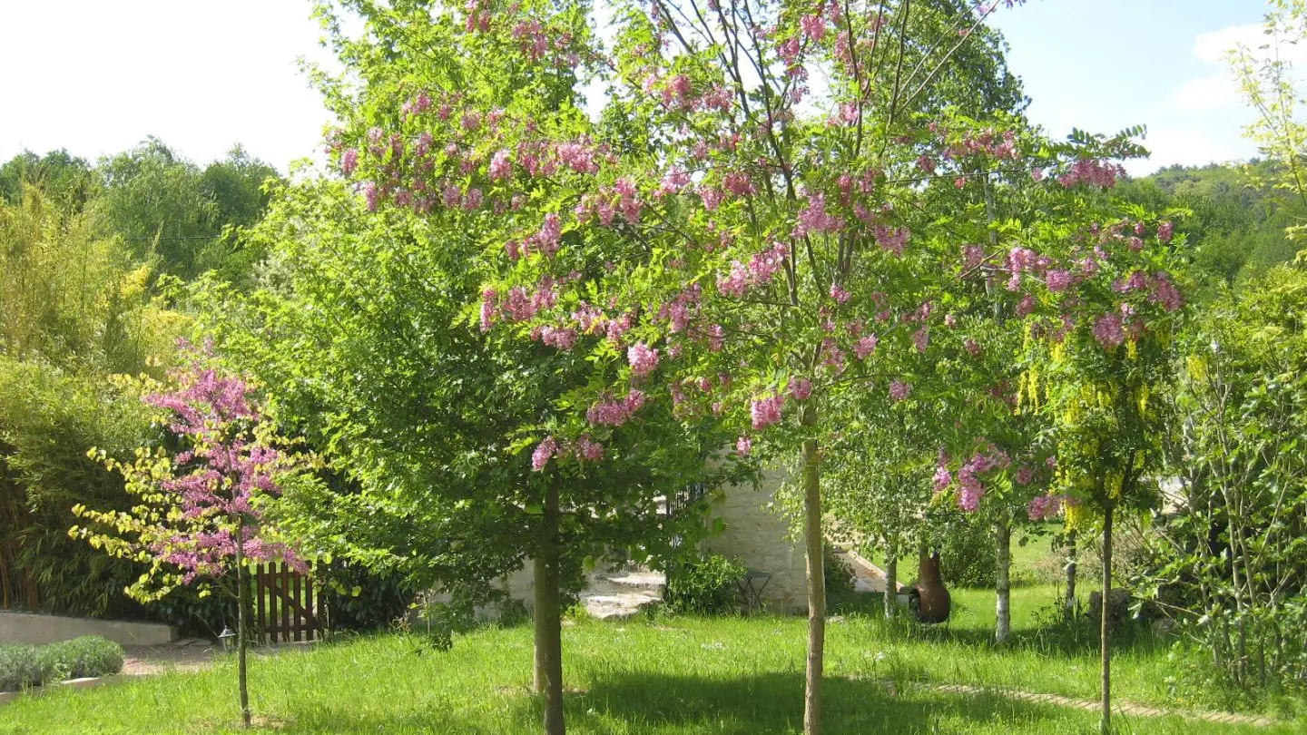 Gîte du Relais Valami_6