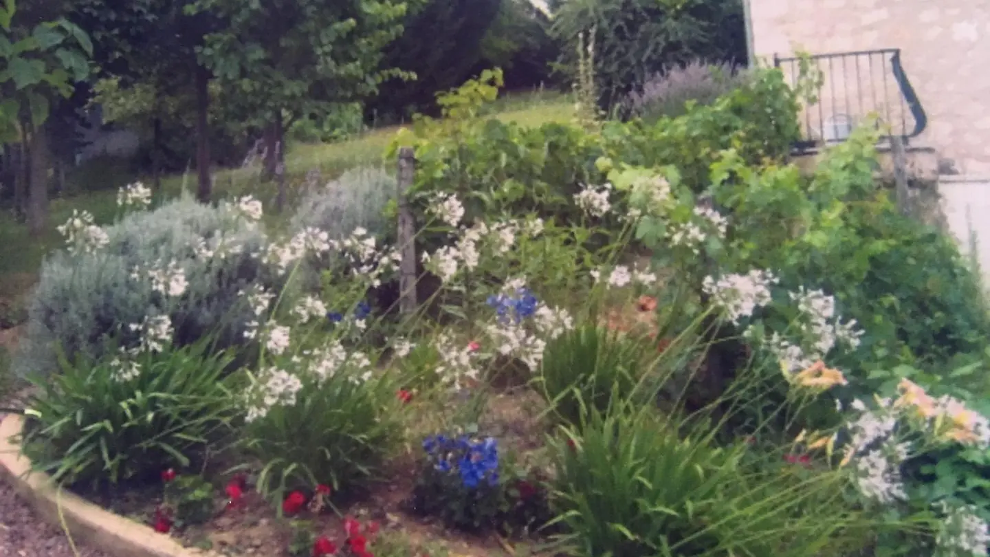 Gîte du Relais Valami_11