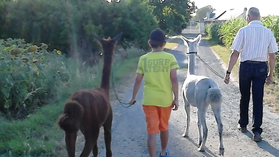 La Volière de la Gentilhommière_11