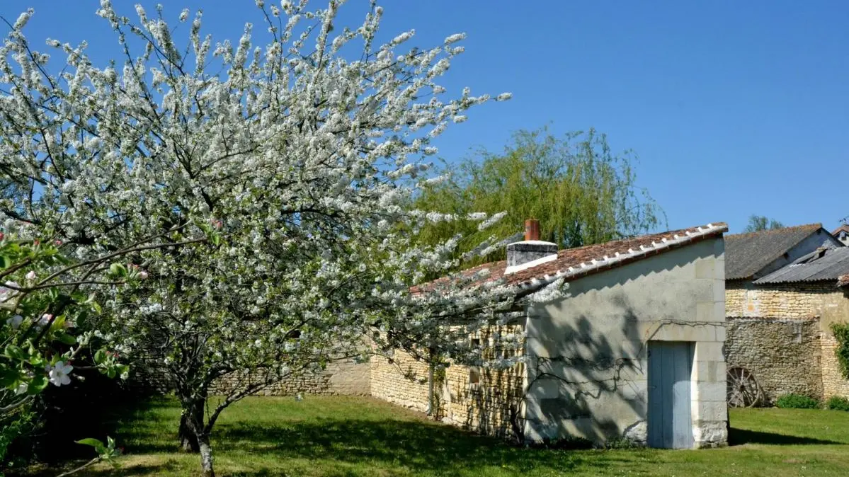 Le Château Vert_11
