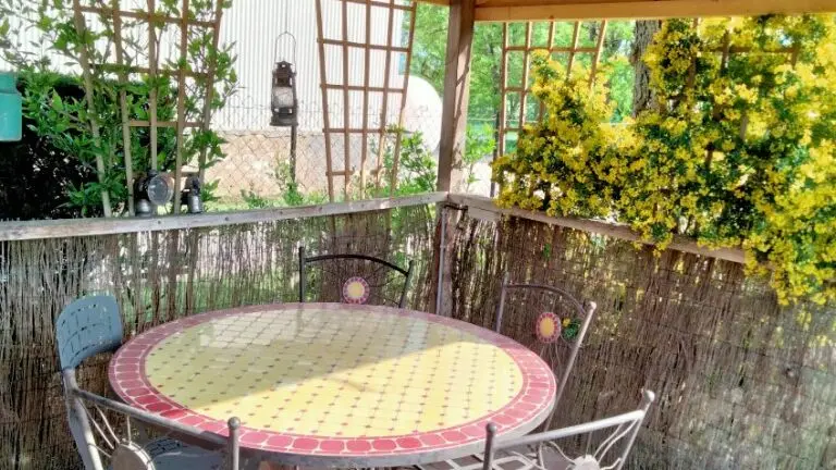 Le Tournesol Doré_8