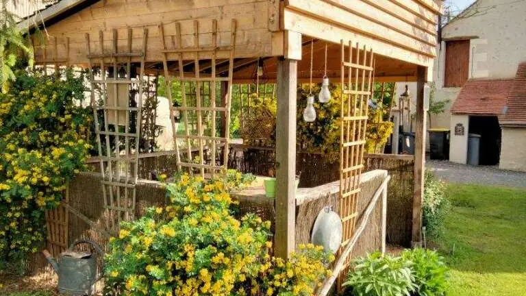 Le Tournesol Doré_7