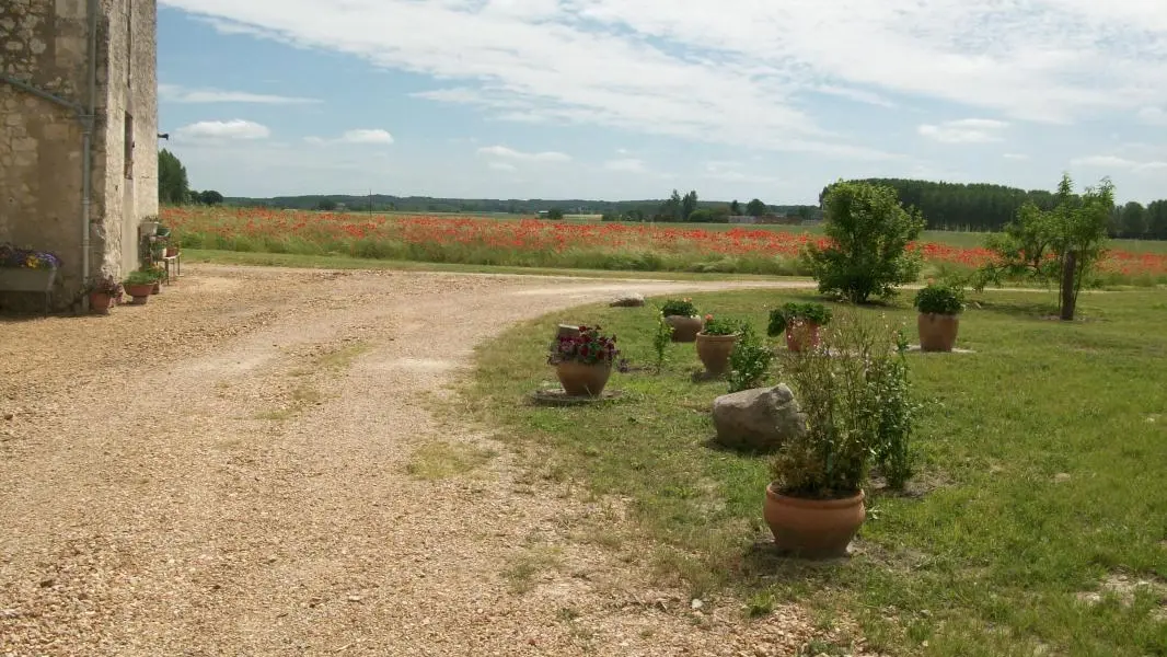 Gîte La Pannière_2