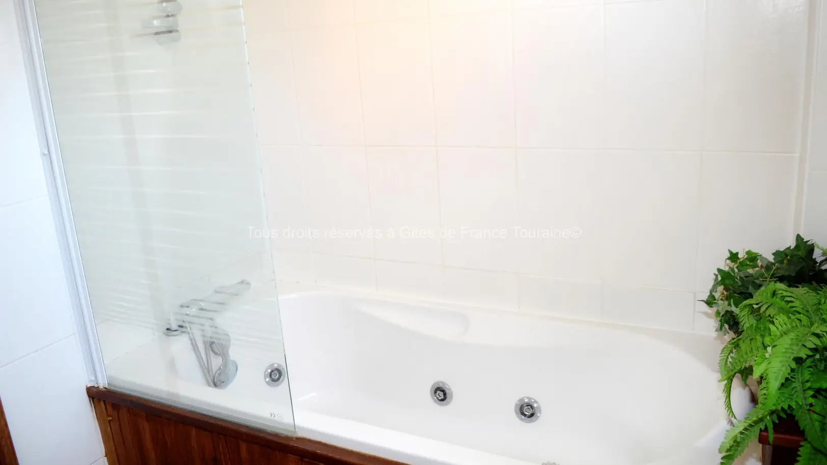 La Gringolerie II_10