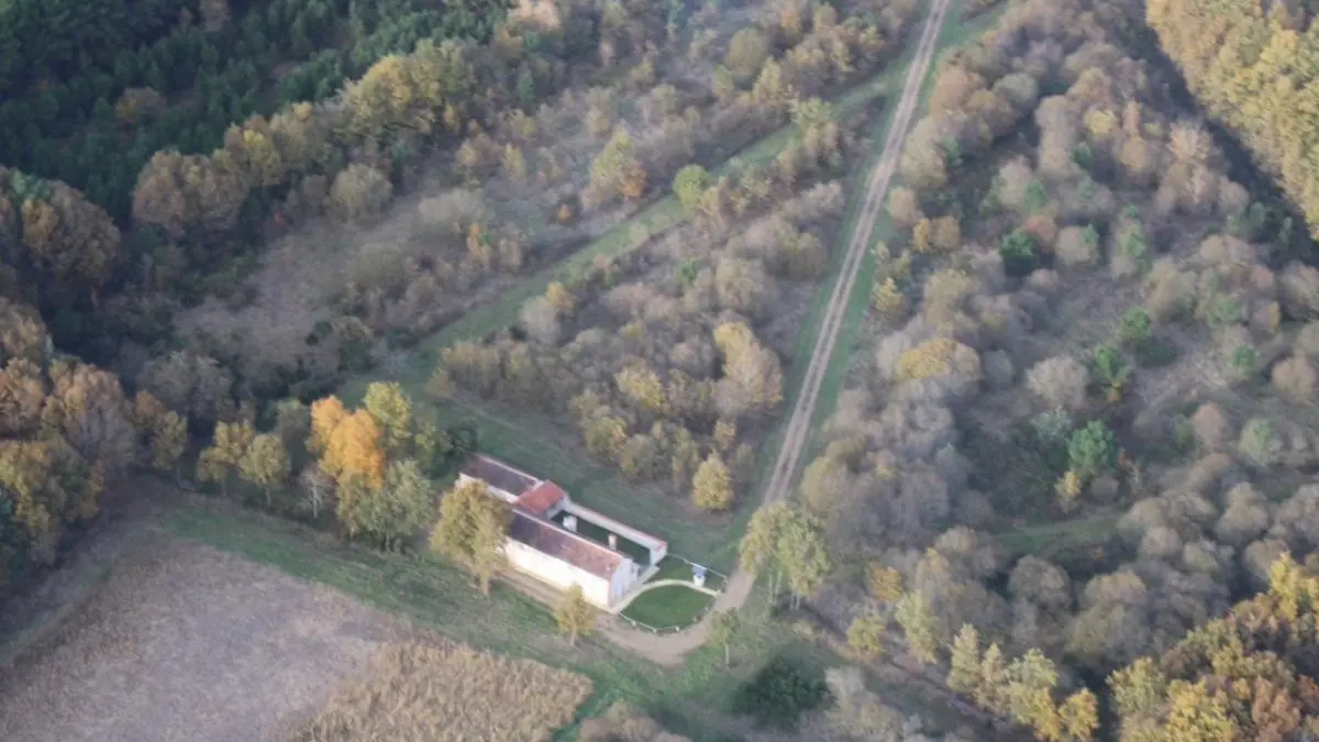 Le Peuplier Billard_4