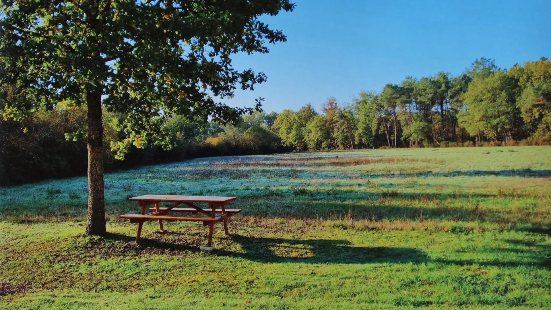 Le Peuplier Billard_6