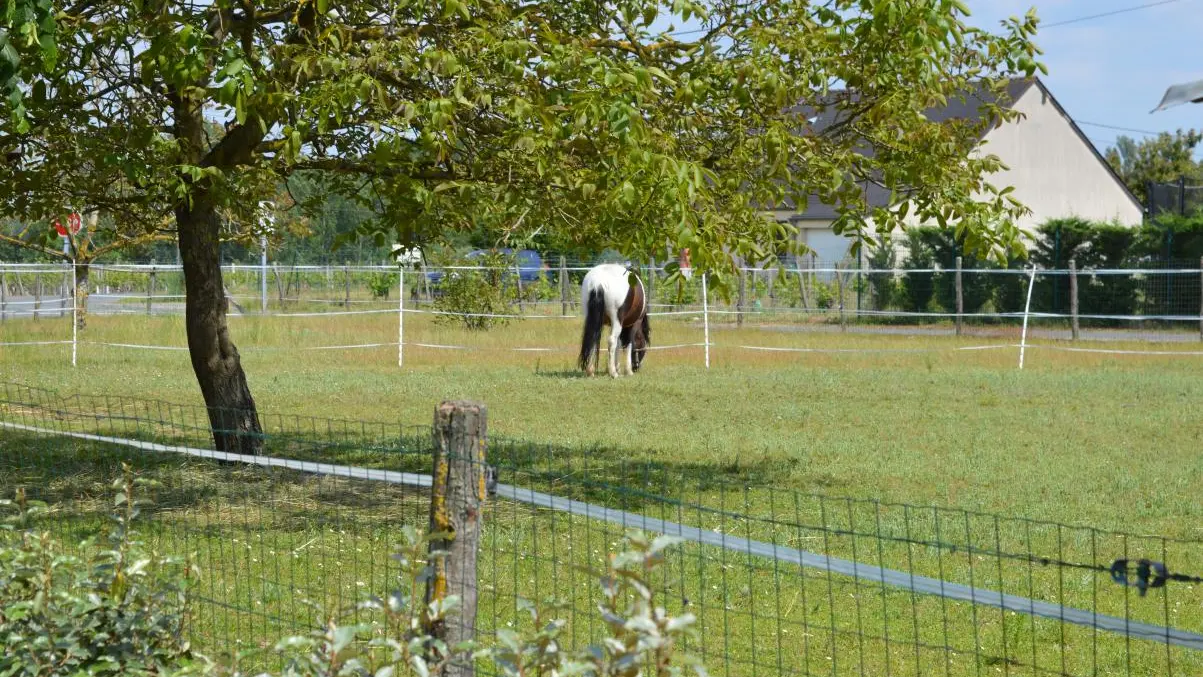 Au bonheur de Mamie_6