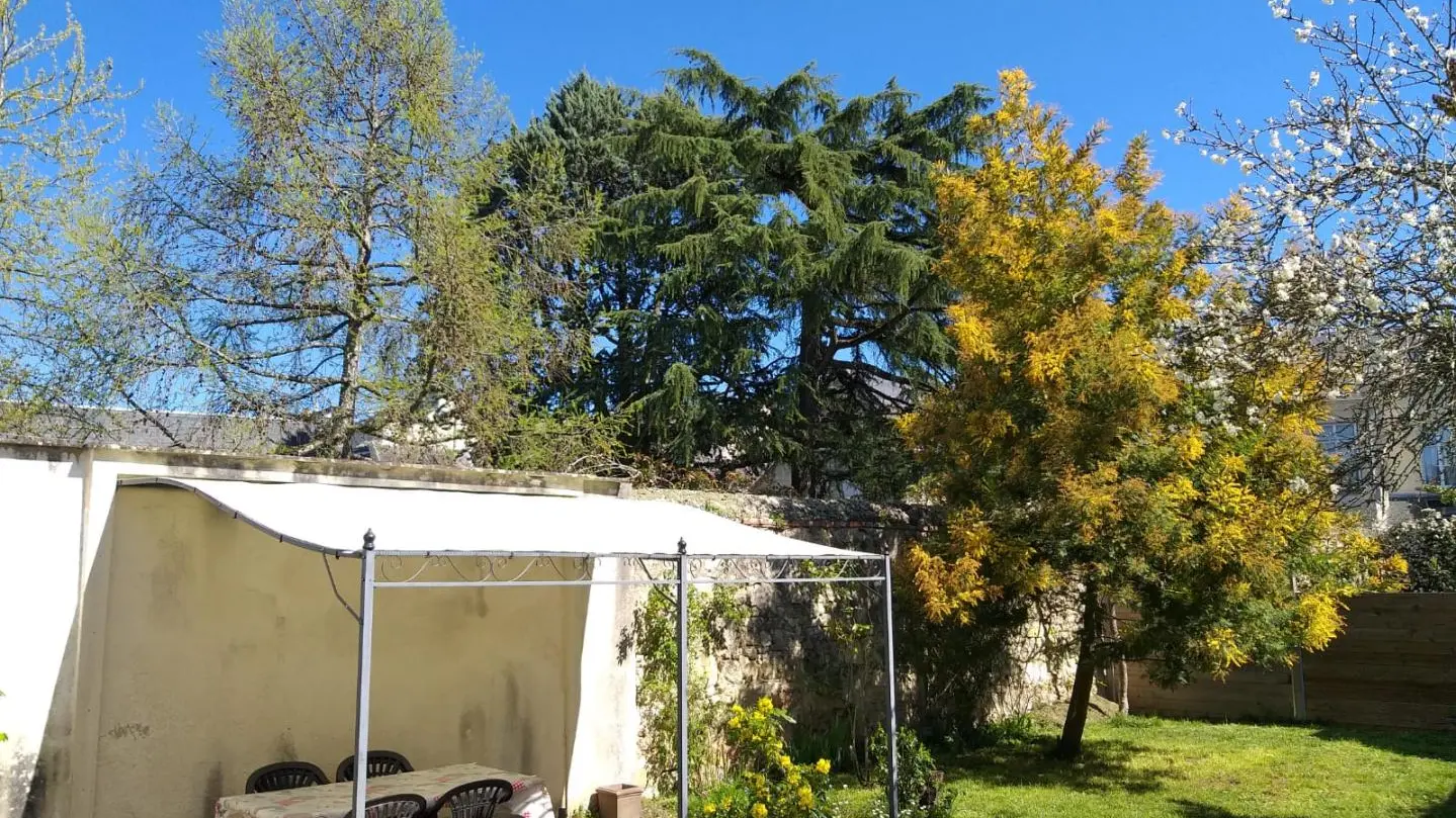 Coeur de Bourgueil_4