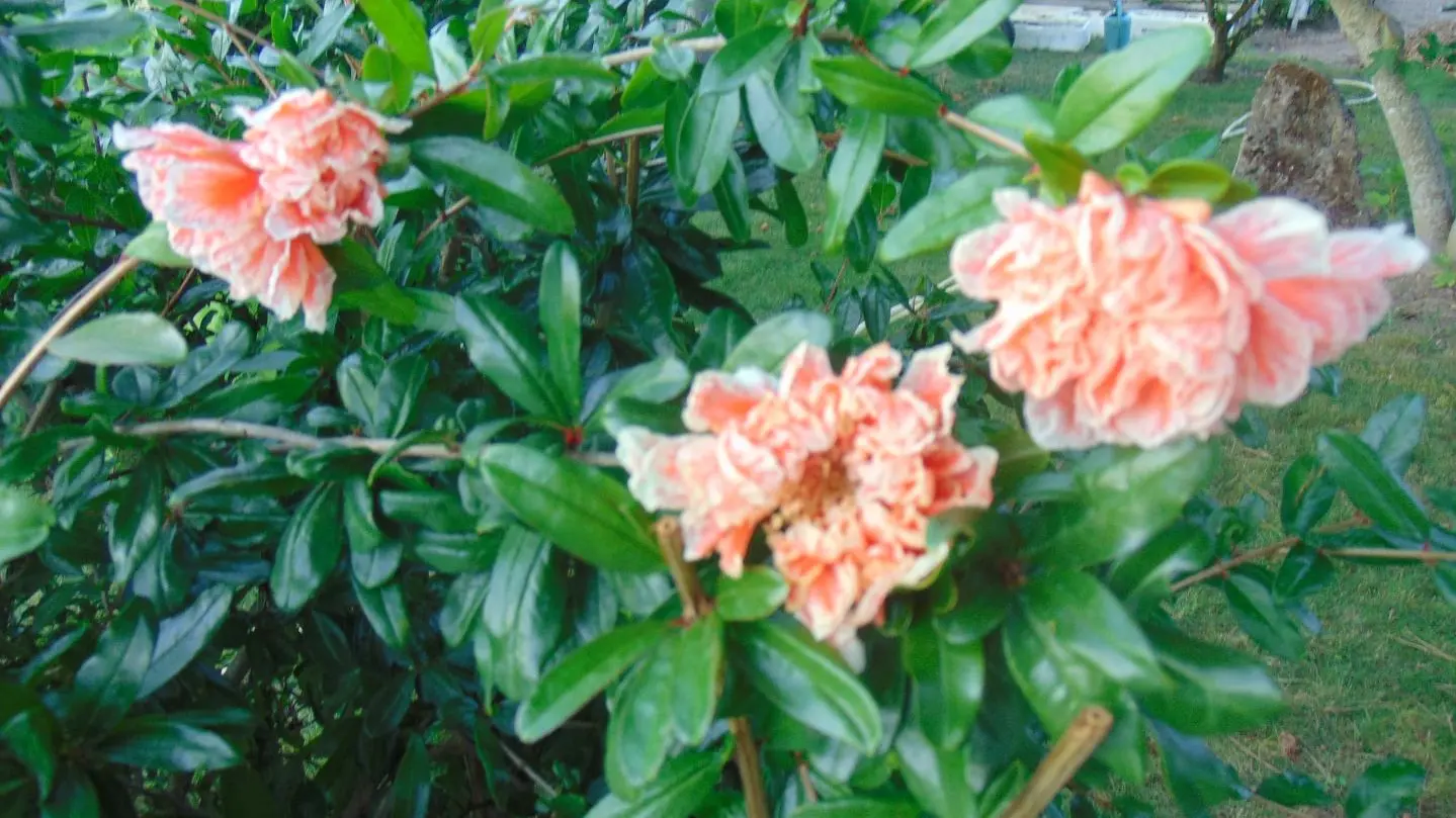 Monts Gîte du Val de Loire_14