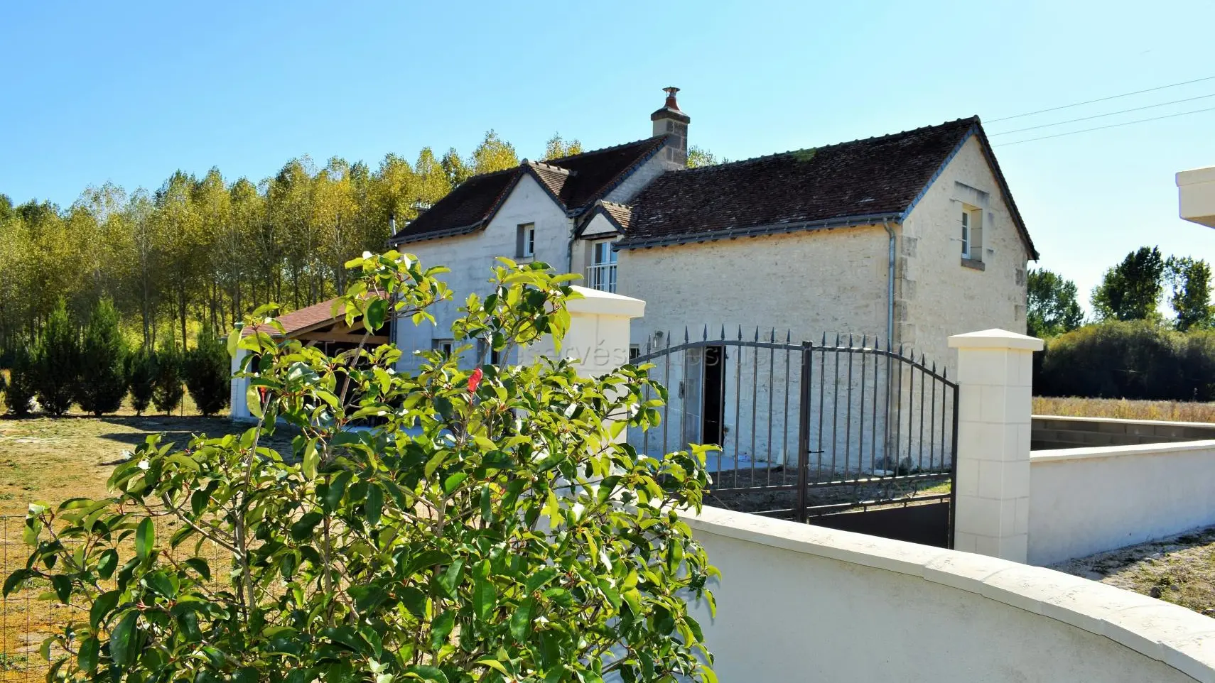 La Petite Maison_10