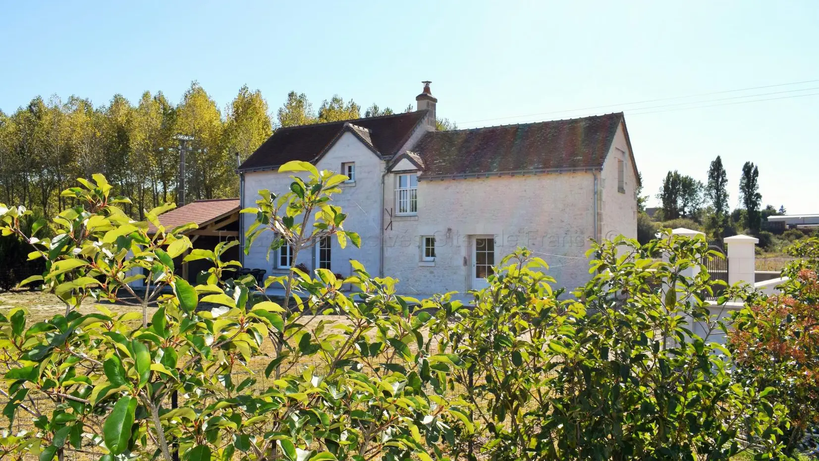 La Petite Maison_8