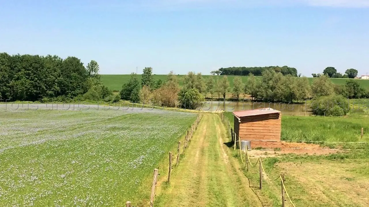 Le Petit Bois d'Ô_3