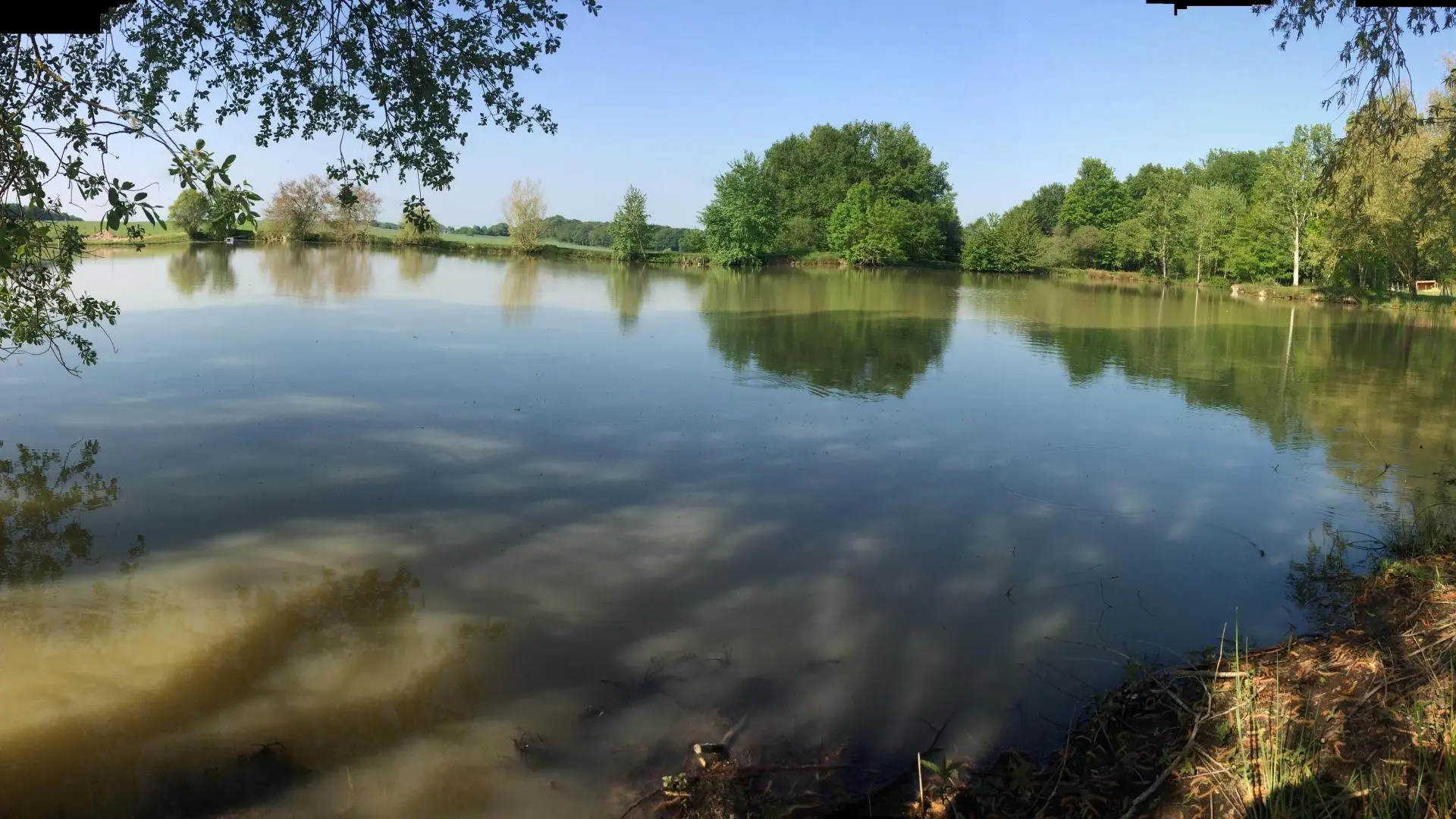 Le Petit Bois d'Ô_4