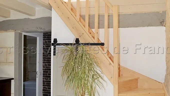 Le Petit Bois d'Ô_12