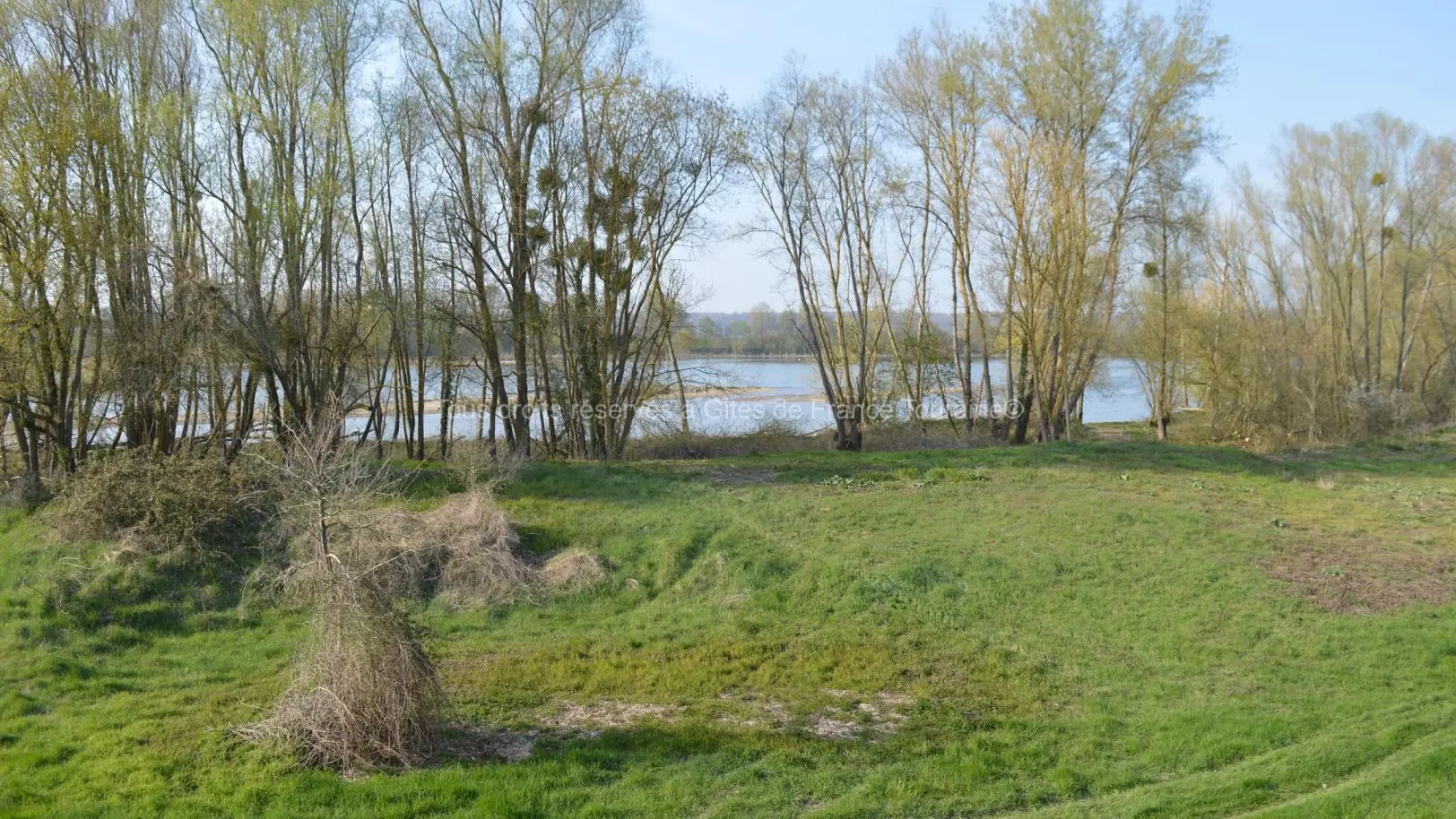 Les Basses Tuileries_15