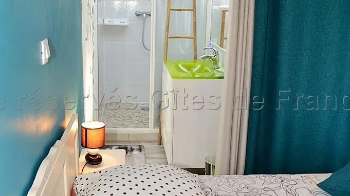 Les Hirondelles dans le Nid_11