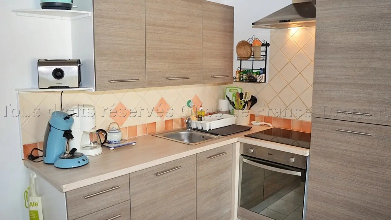 Les Hirondelles dans le Nid_4