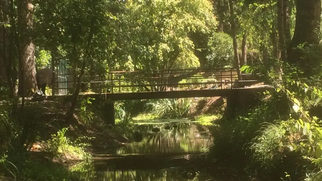 Les Moulins de Requeugne_2