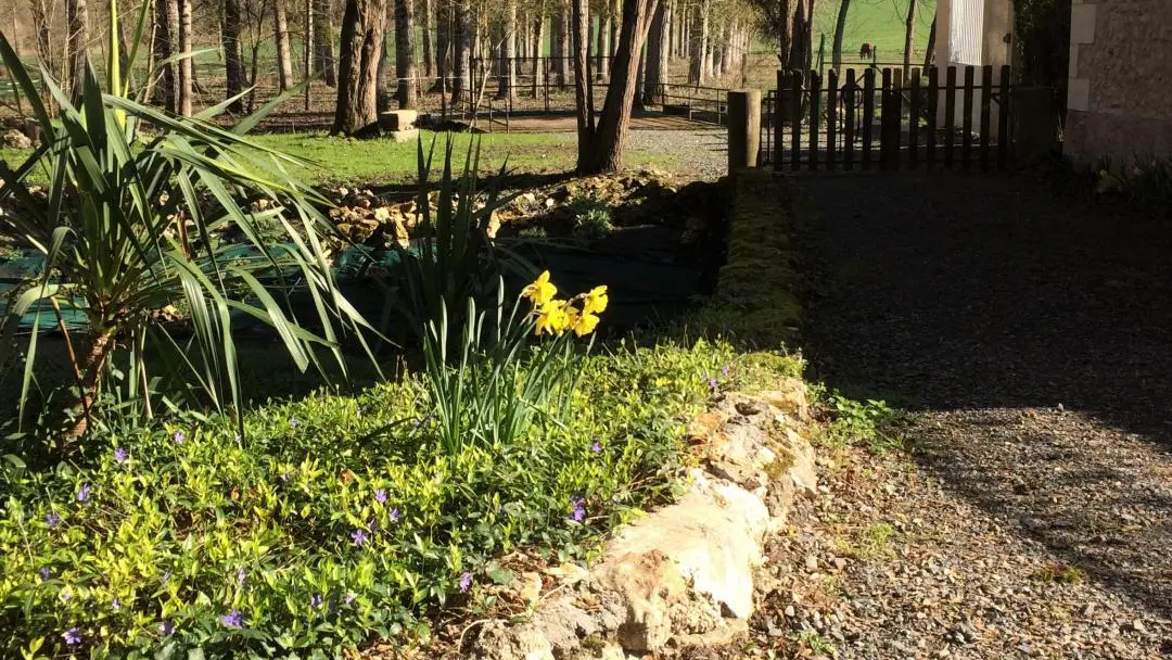 Les Moulins de Requeugne_7