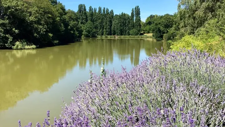 Domaine du Pont Salmois_6