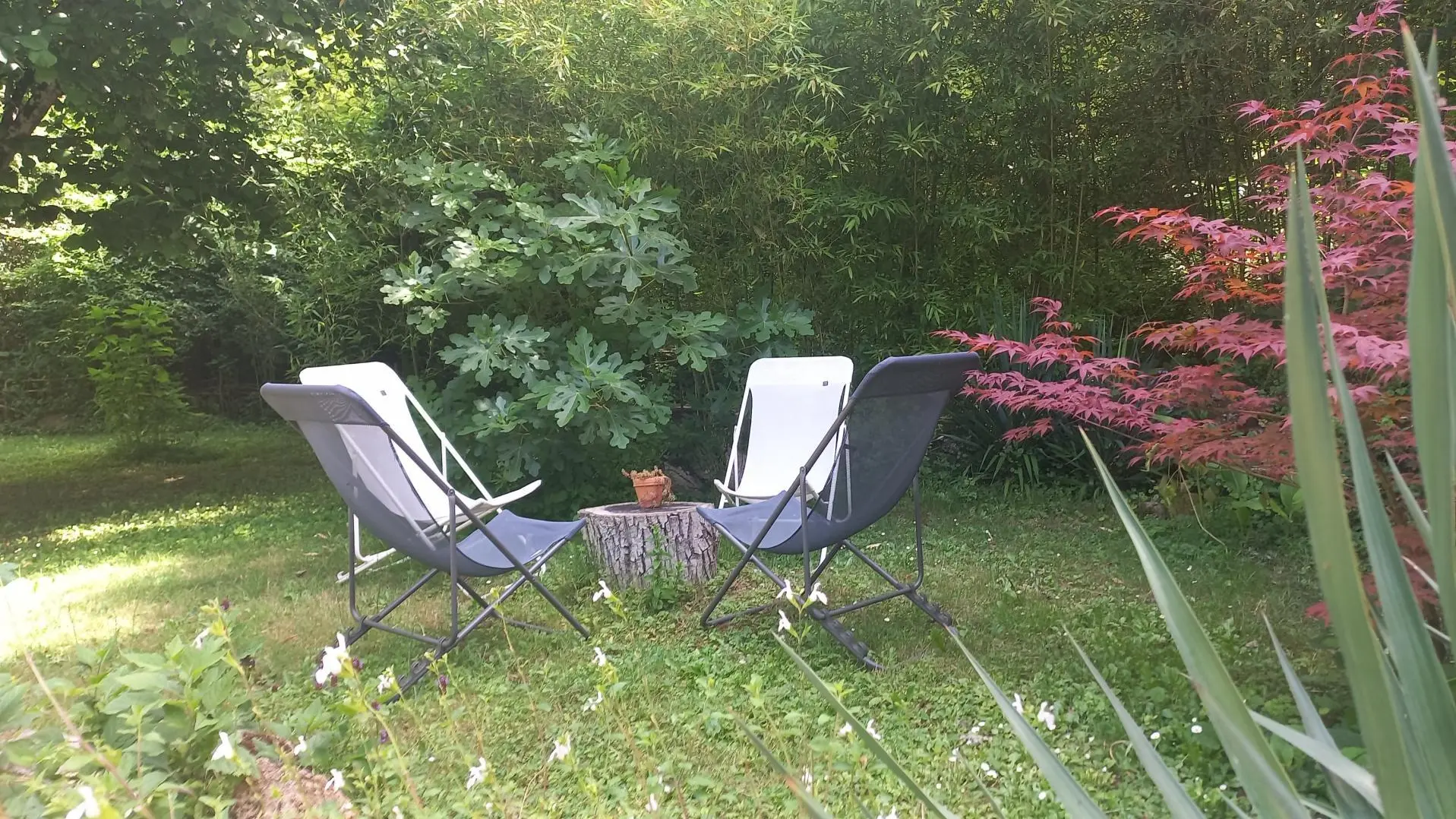 Troglo-gîte Pierre de Lumière_7