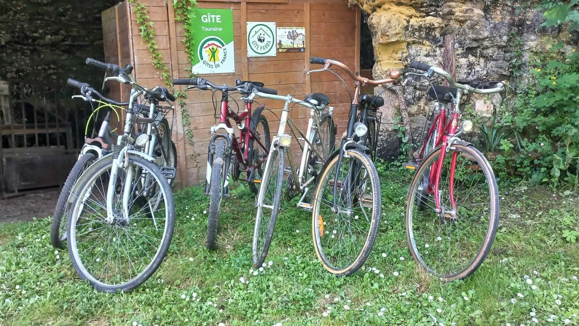 Troglo-gîte Pierre de Lumière_5