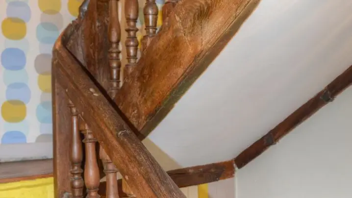 Le Petit St-Lazare_14