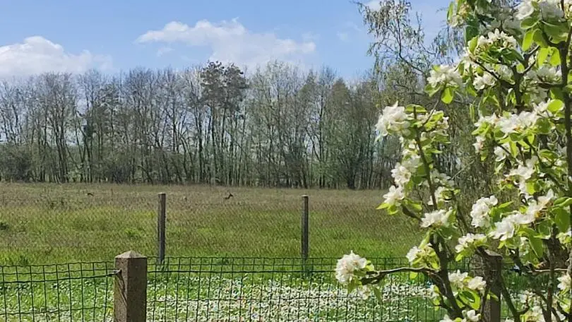 La Vallèriane_4