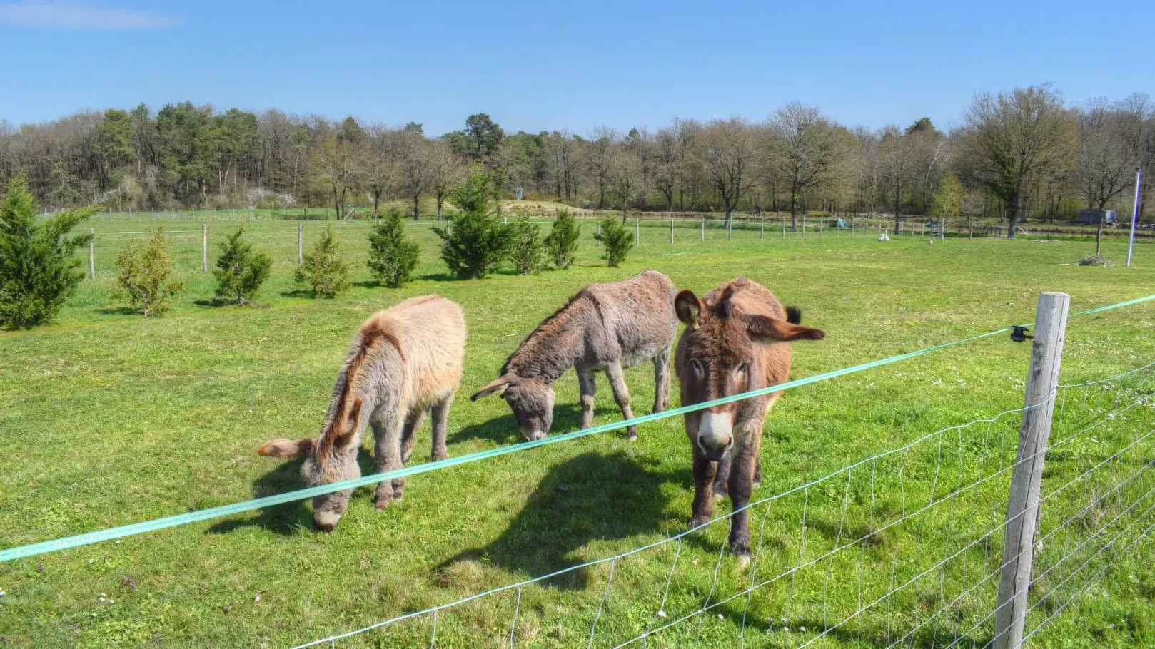 La petite maison dans la prairie_4