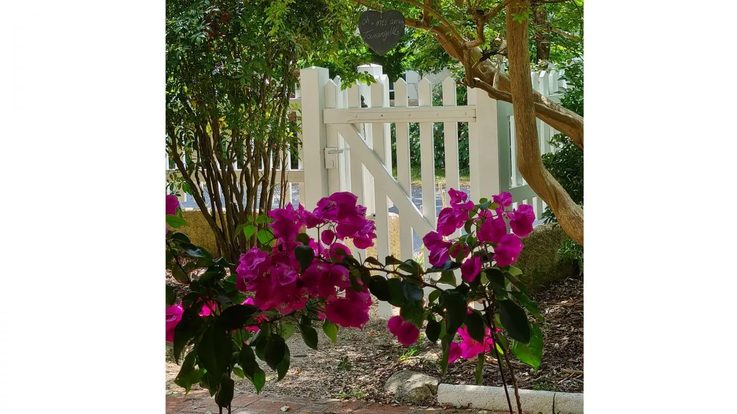 Aux Mésanges Tourangelles_12