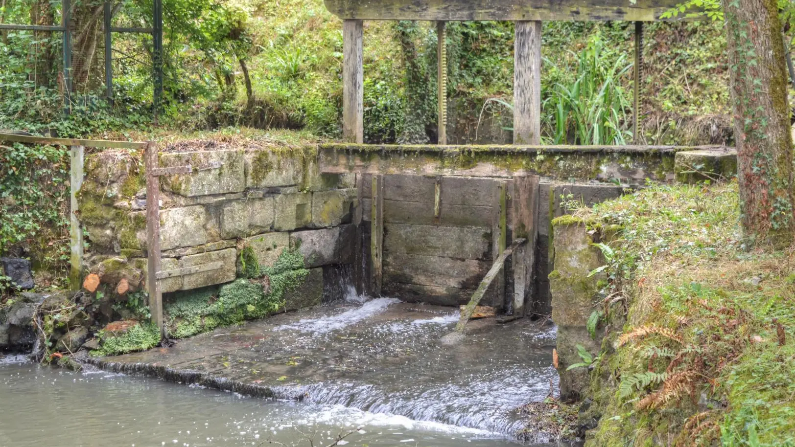 Le Moulin de la Choisille_14