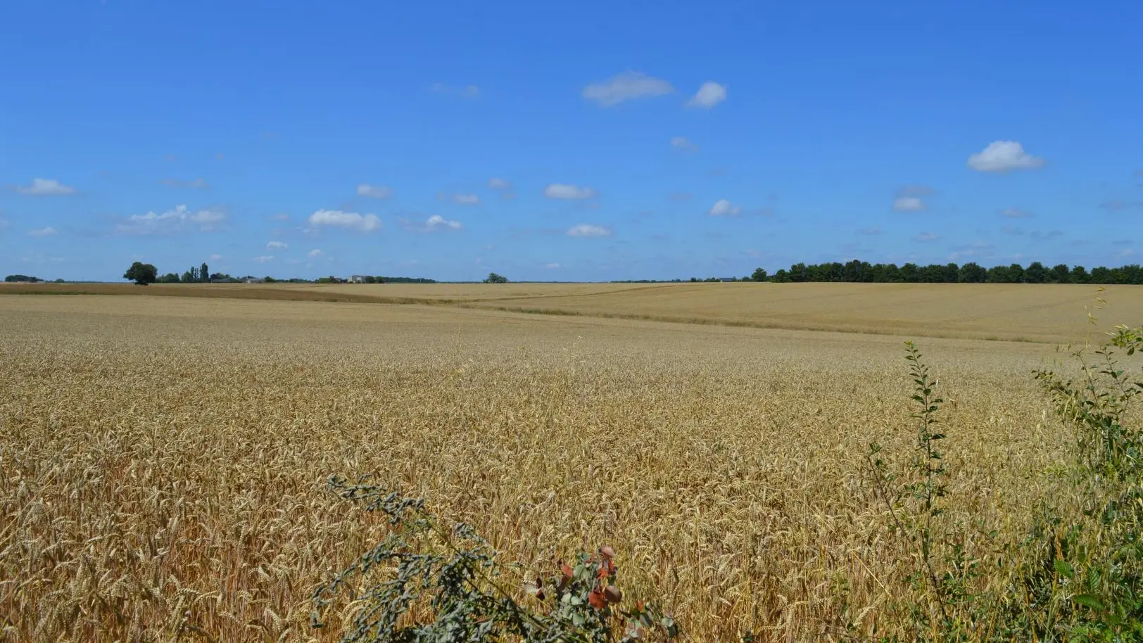 Gîte de la Grande Avaloux_3