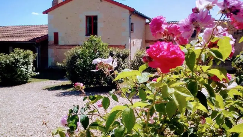 L'Antre des Nains : Jaune et Joyeux_1