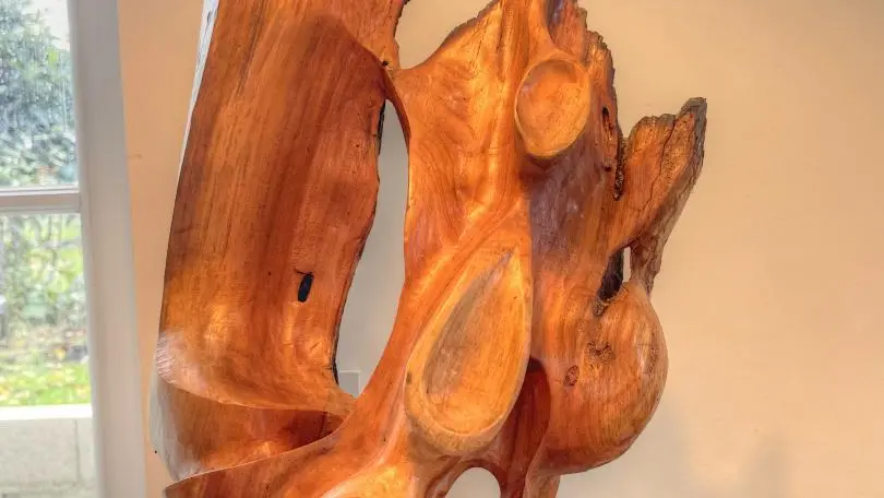 Le Petit Vaujoint II_10