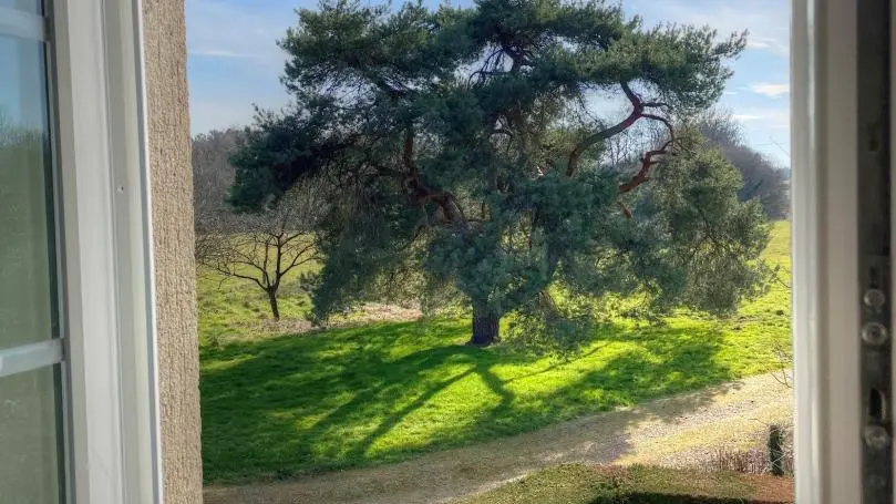 Érable et Lierre_14