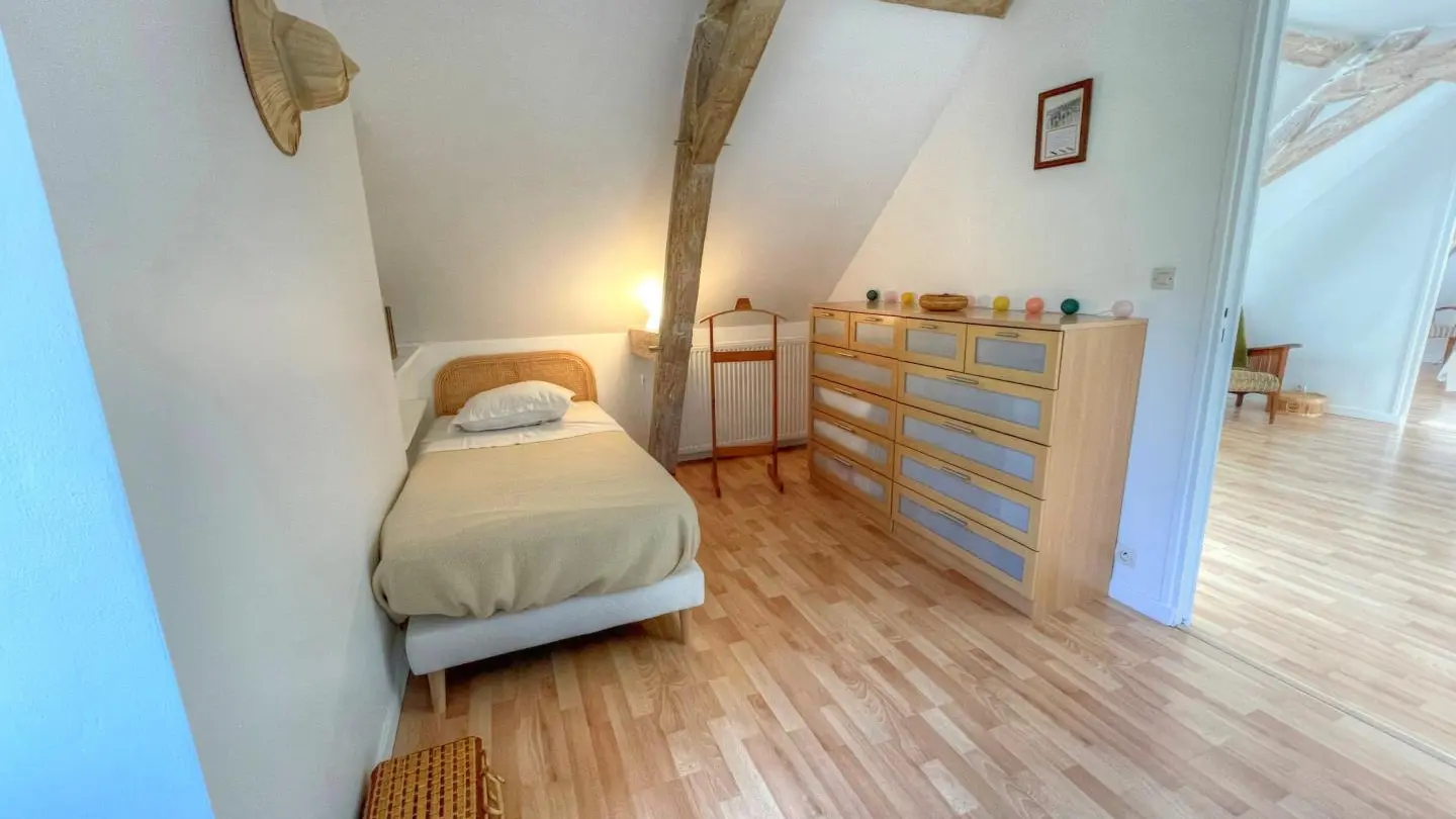 Érable et Lierre_12