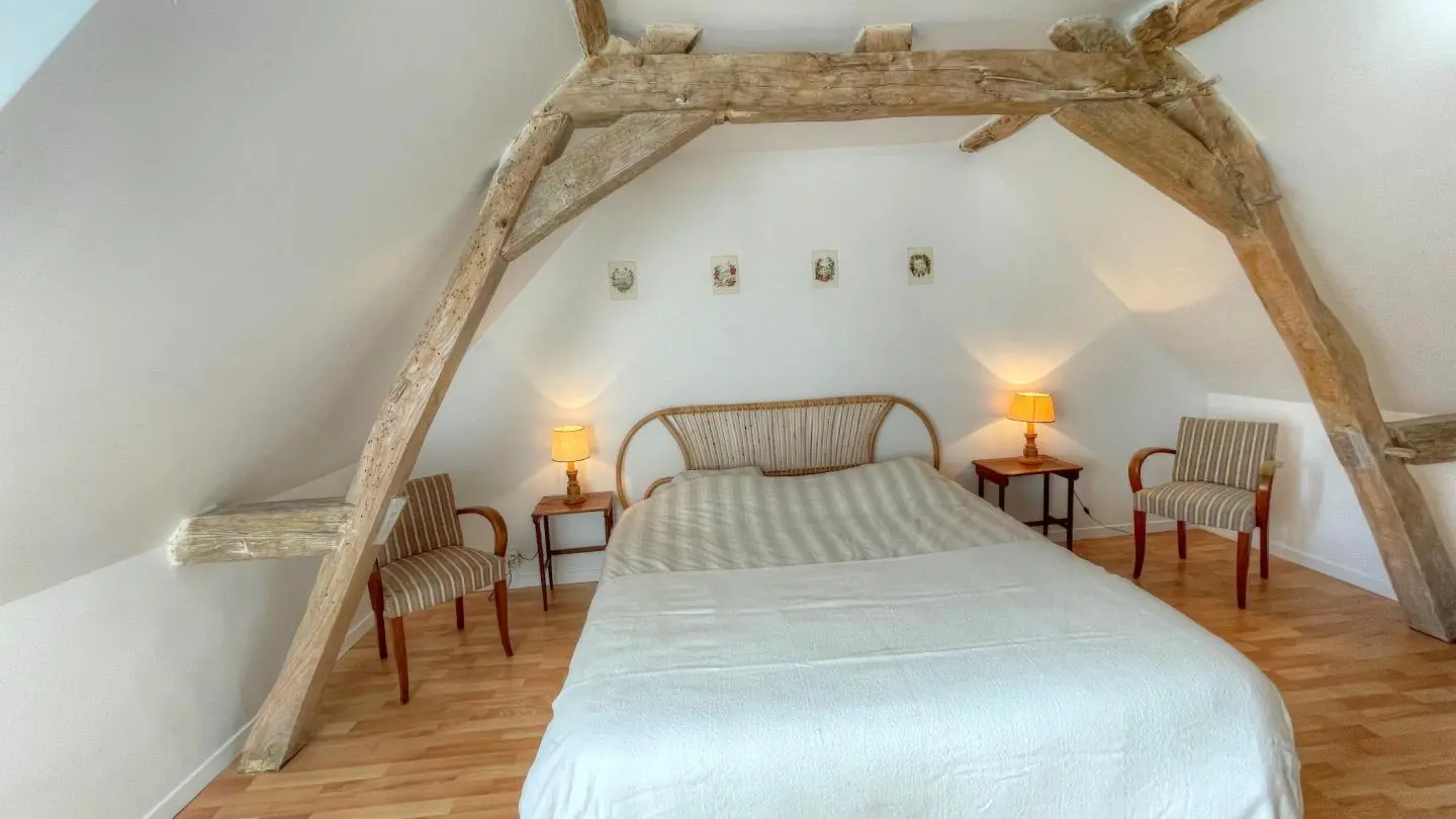 Érable et Lierre_13