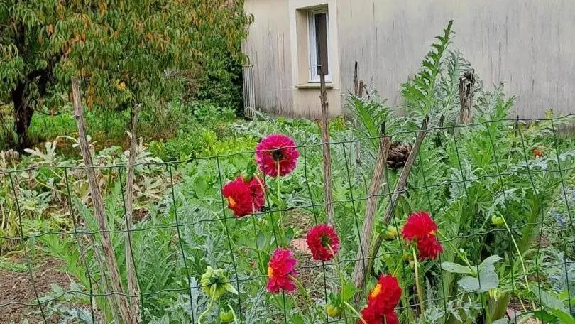 Gîte de la Pinsonnerie_4