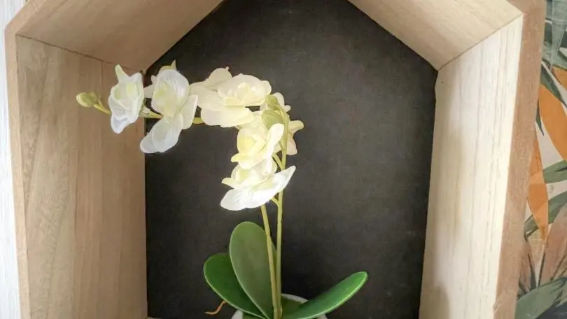 La Marinière de Loire_11