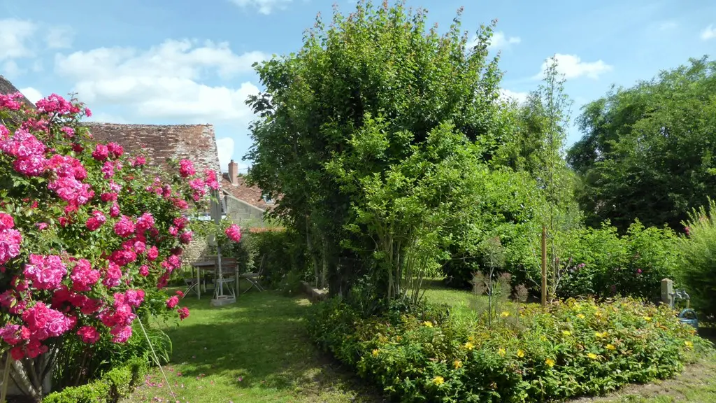 Gîte Les Kiwis_4