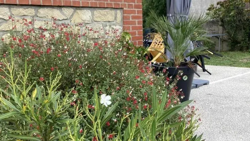 Villa Pourquoi Pas_3