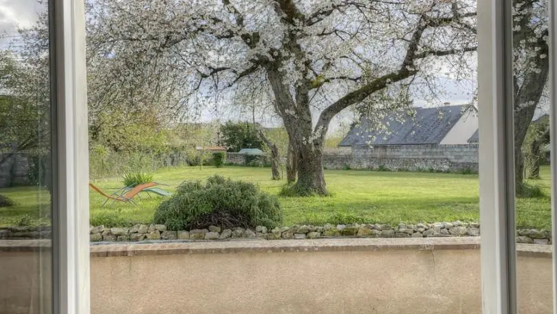 Arbre de Vie_5